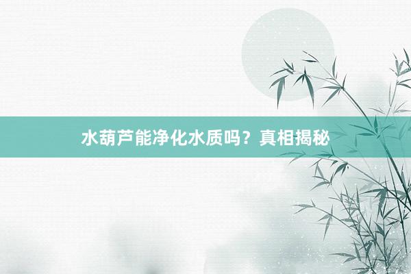 水葫芦能净化水质吗？真相揭秘